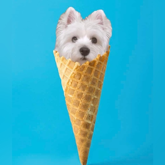 Meet your Posher, Paula - Picture 3 of 3